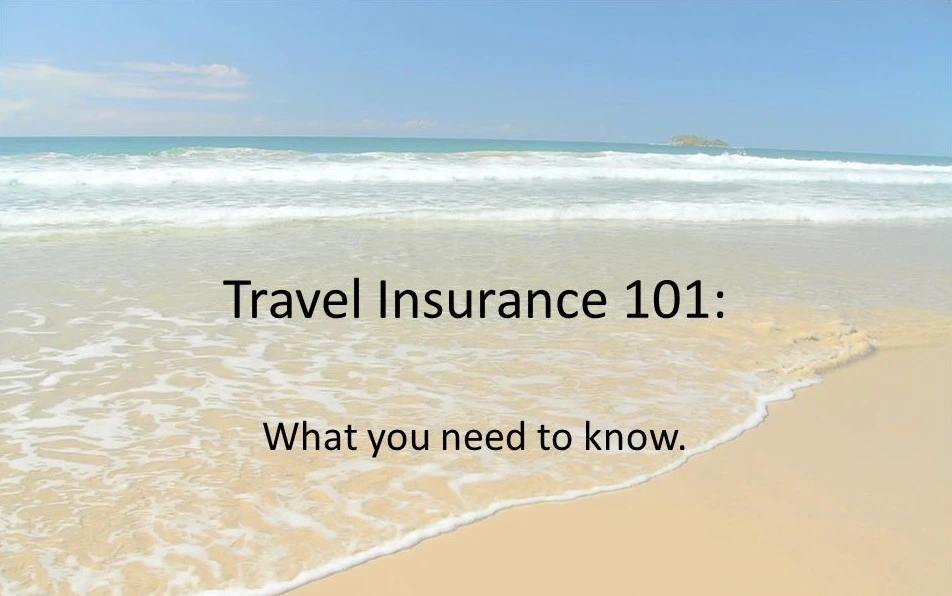 Travel Insurance 101: What You Need to Know