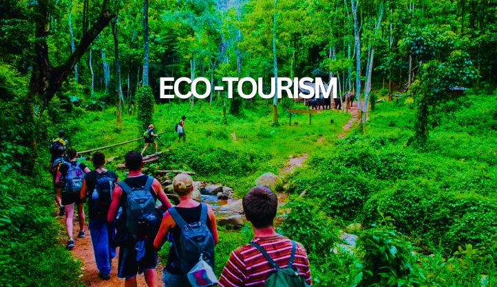 Sustainable Travel: Eco-Friendly Destinations to Visit