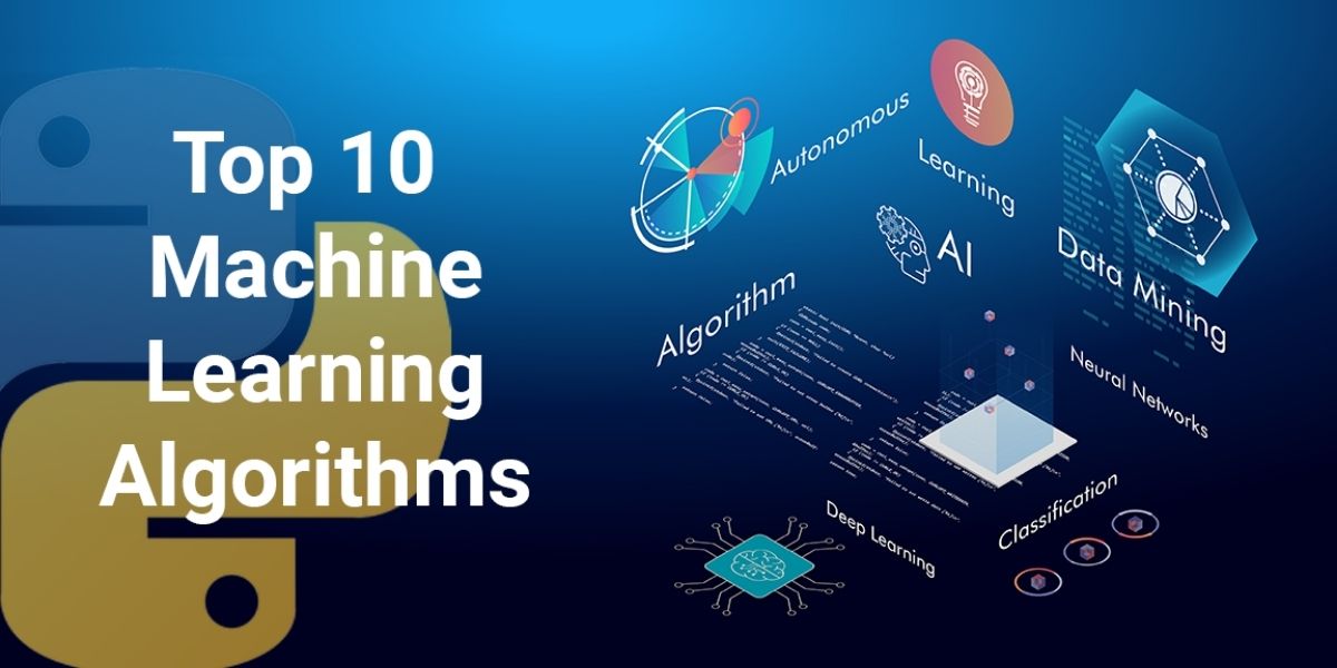 Key Machine Learning Algorithms Every Developer Should Know